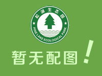 網(wǎng)絡(luò)營(yíng)銷(xiāo)經(jīng)理